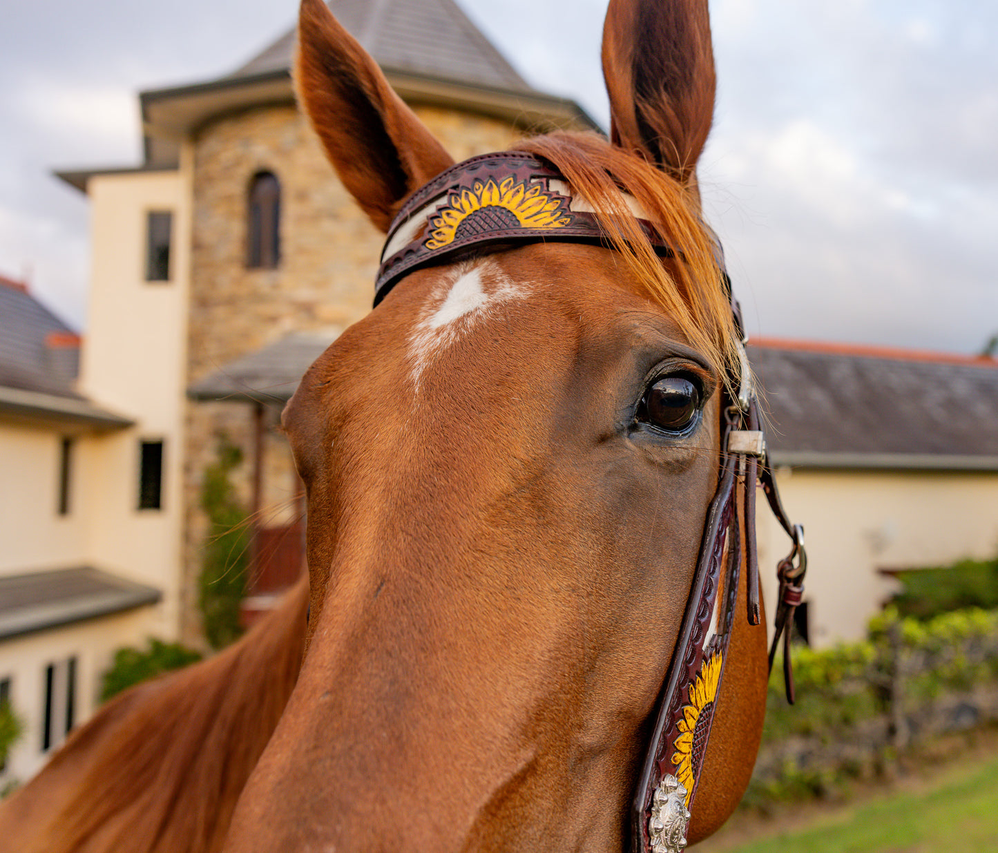 Sunflower Bridle & Breastplate Set