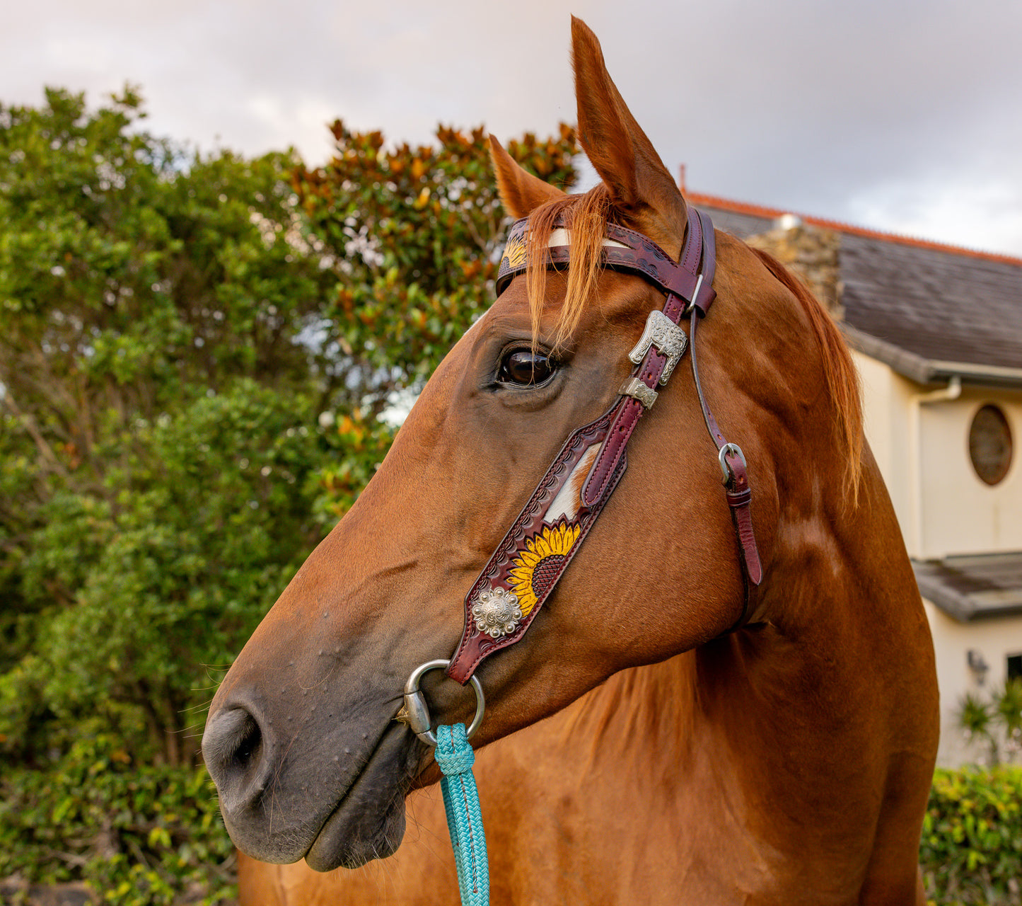 Sunflower Bridle & Breastplate Set