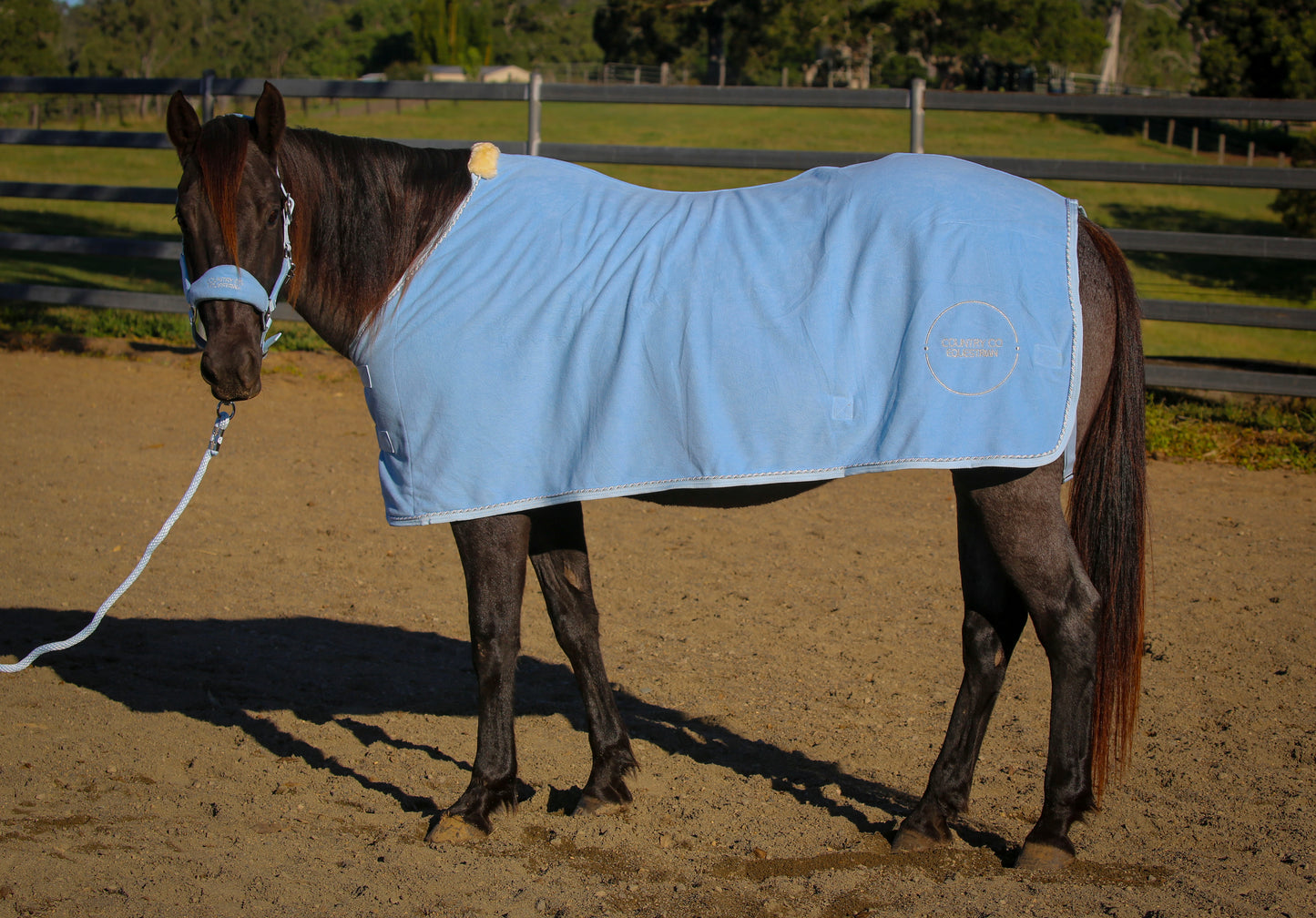 Sky Blue - Fleece Show Rug