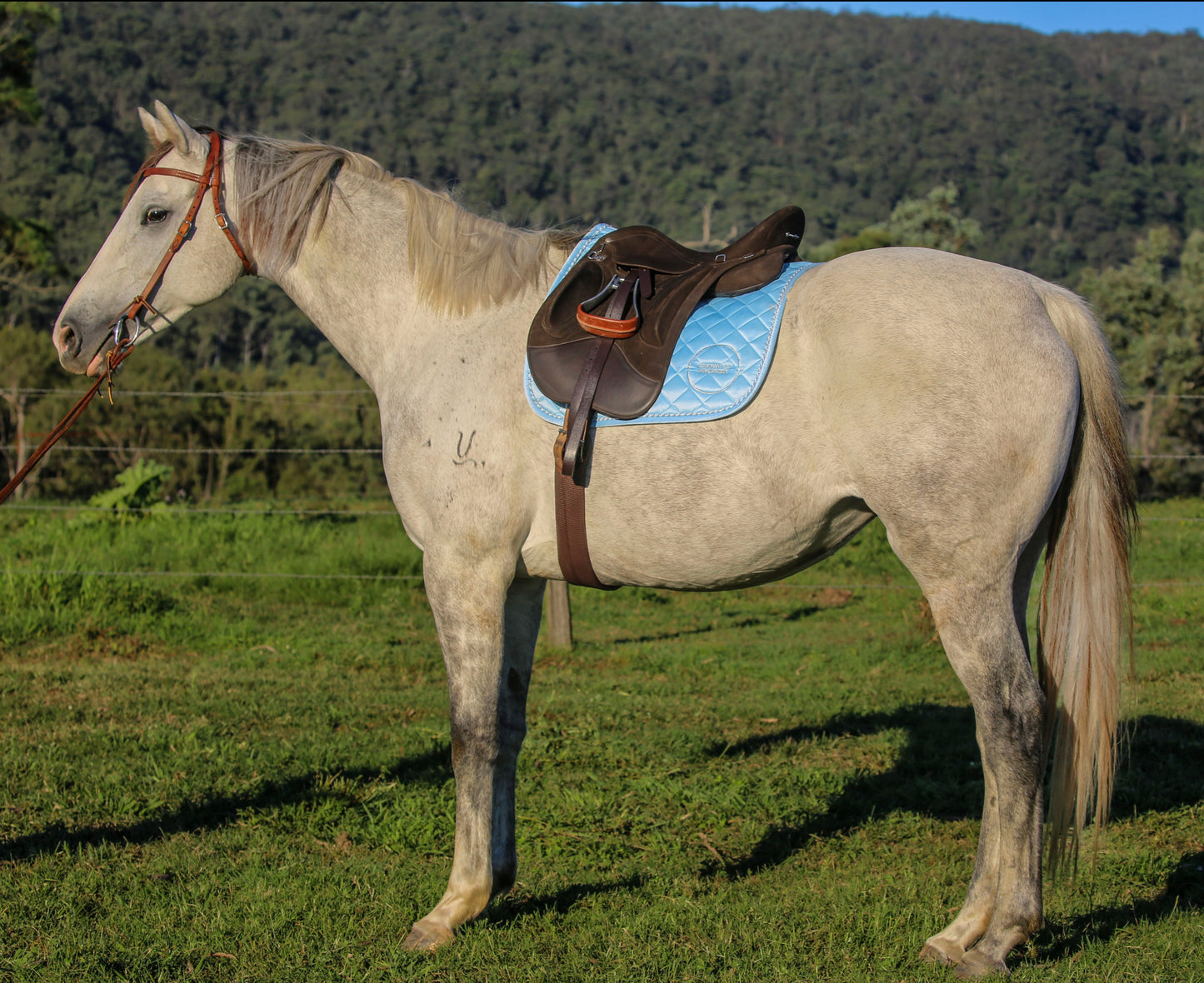 Sky Blue - Satin Saddle Pad