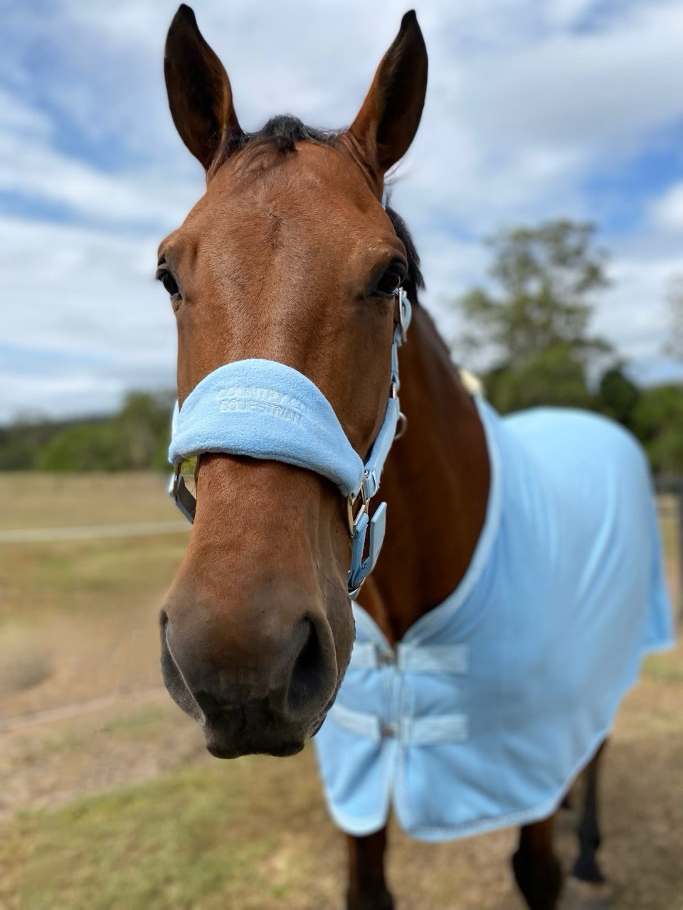 Sky Blue - Fleece Halter & Lead Rope