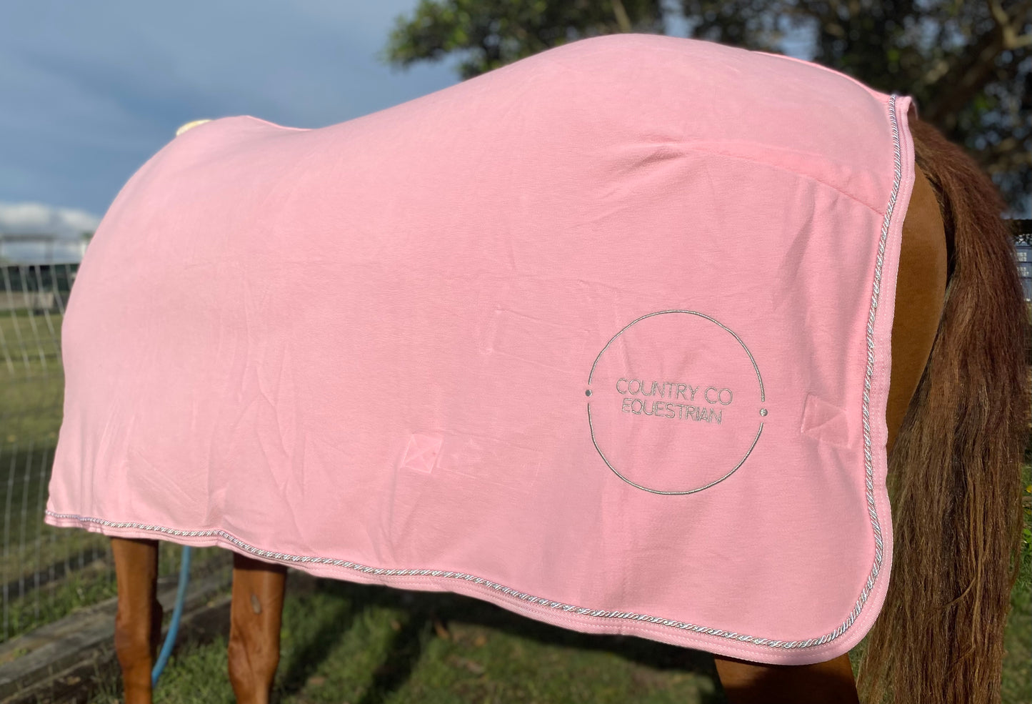 Blush Pink - Fleece Show Rug