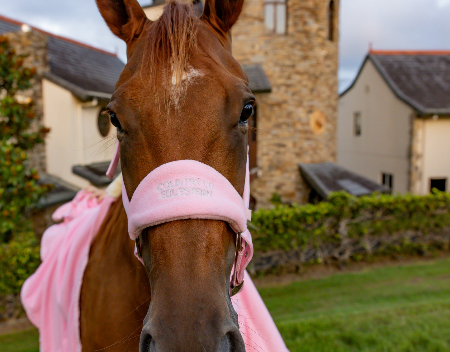 Blush Pink - Fleece Halter & Lead Rope