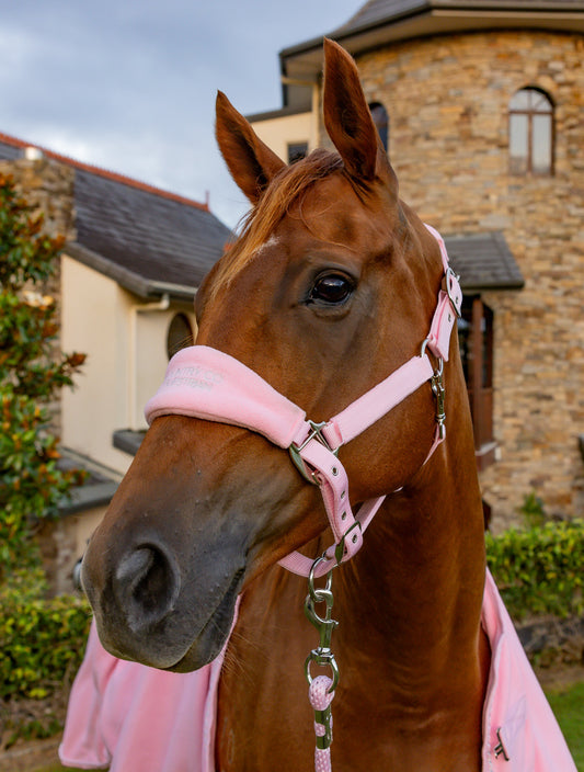 Blush Pink - Fleece Halter & Lead Rope