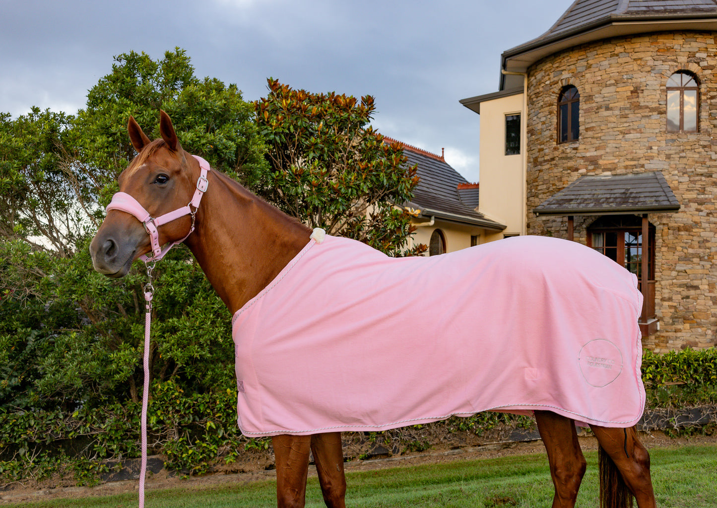 Blush Pink - Fleece Show Rug