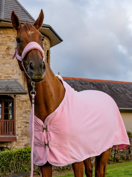 Blush Pink - Fleece Show Rug