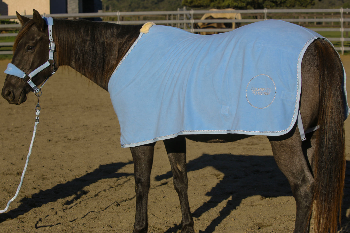 Sky Blue - Fleece Show Rug